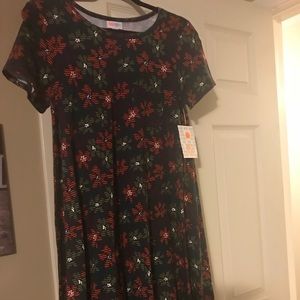 Lularoe Carly, size xs